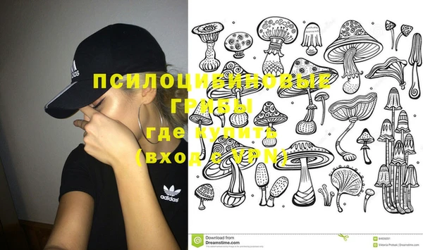 ПСИЛОЦИБИНОВЫЕ ГРИБЫ Верхний Тагил