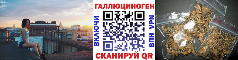цена   Сафоново  Псилоцибиновые грибы Magic Shrooms 